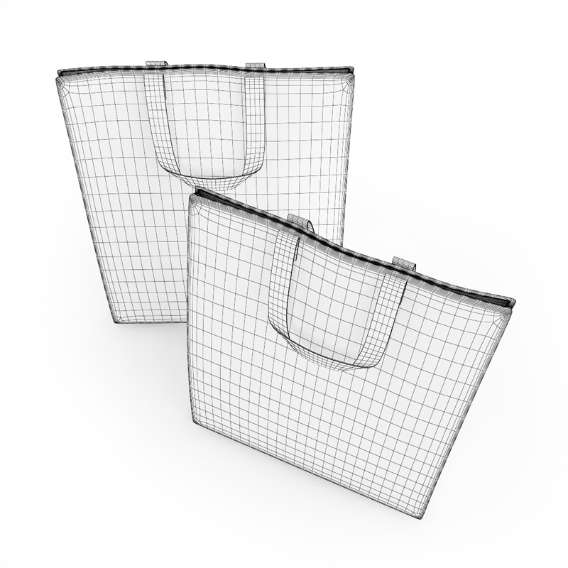 Shopping Bags 3D model_2