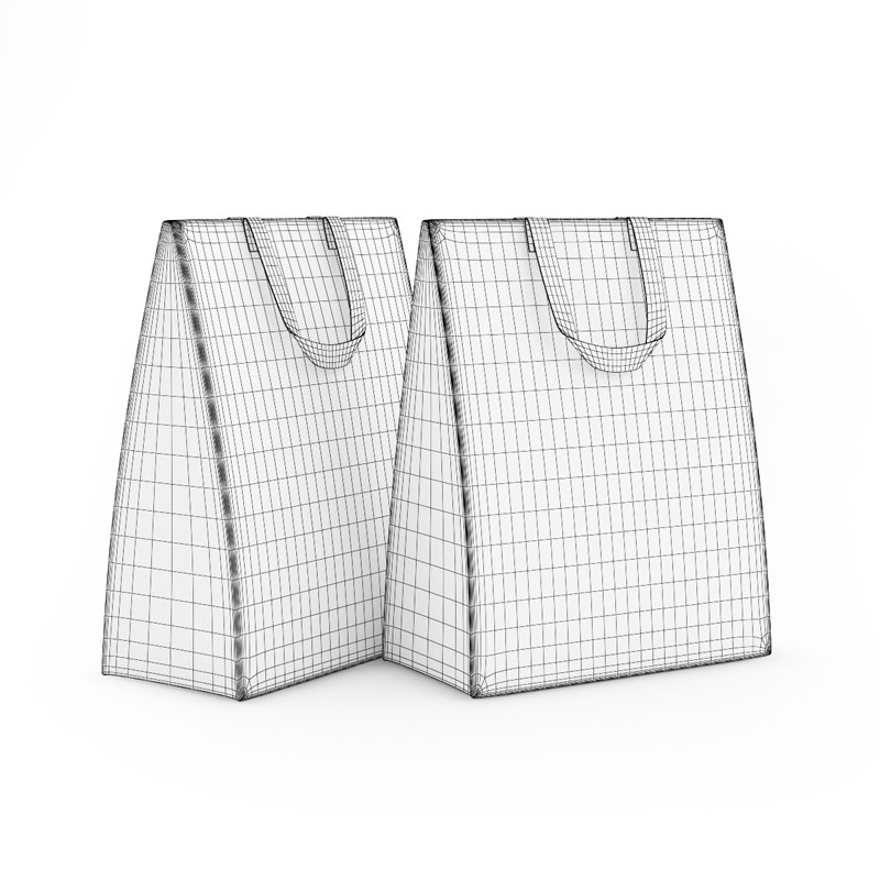 Shopping Bags 3D model_3