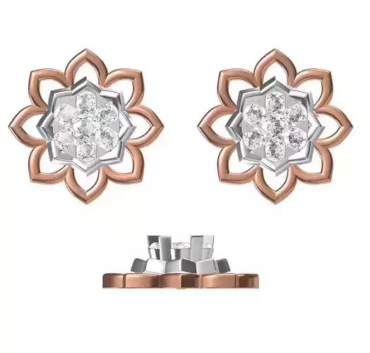 Women Earrings STL JCD Details