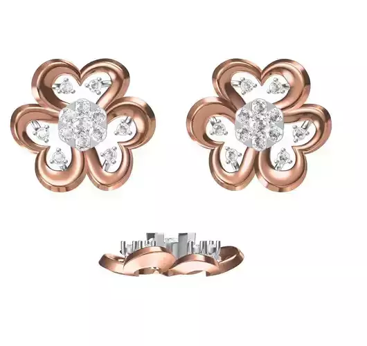 Women Earrings STL JCD Details