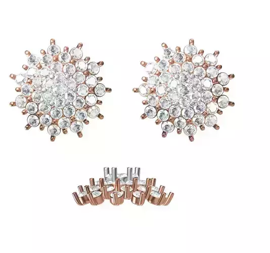 Women Earrings STL JCD Details