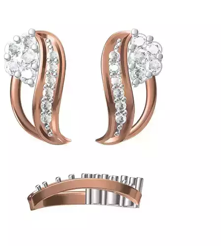 Women Earrings STL JCD Details