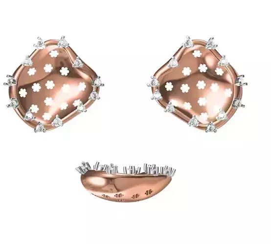 Women Earrings STL JCD Details