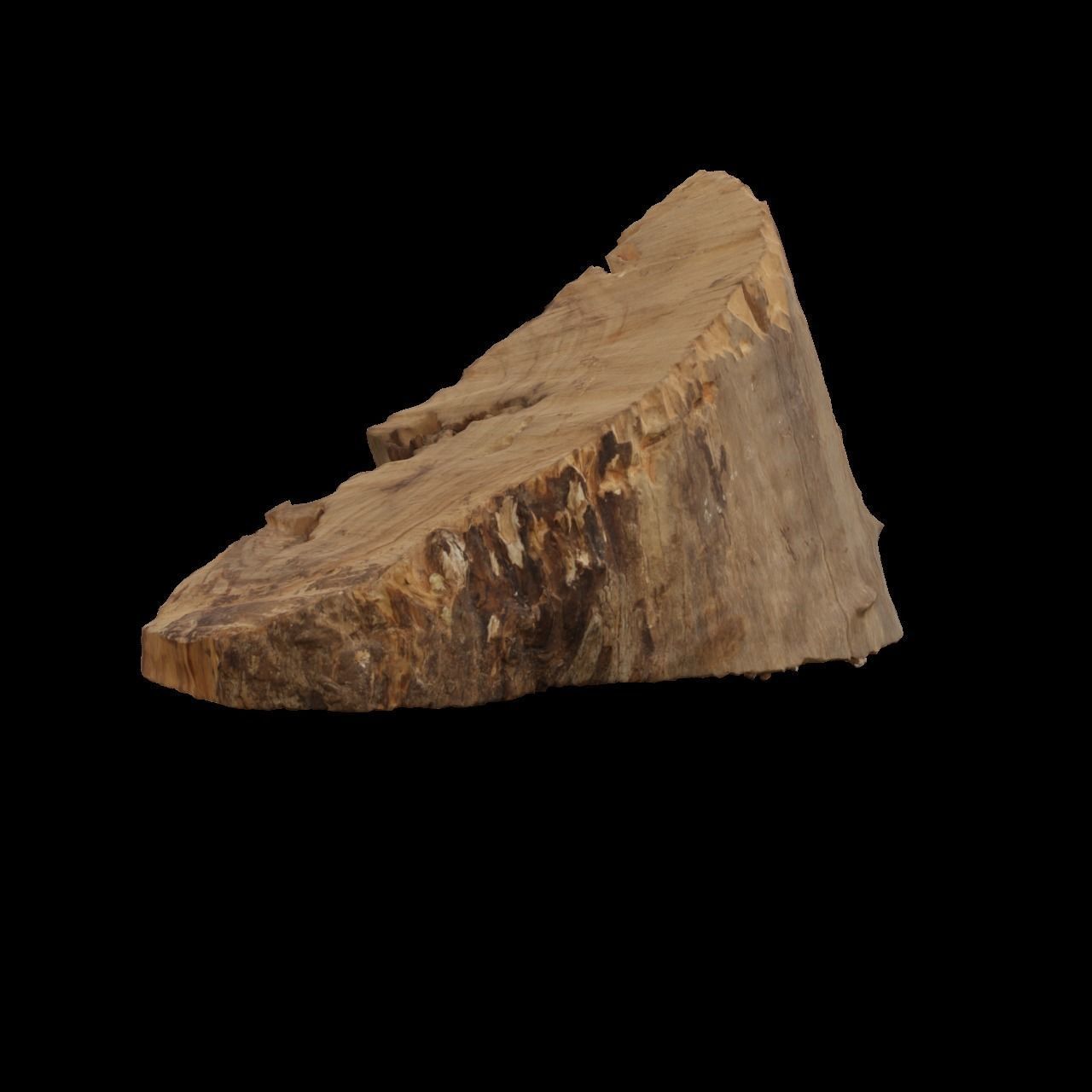 Wood Log 4 3D model_7