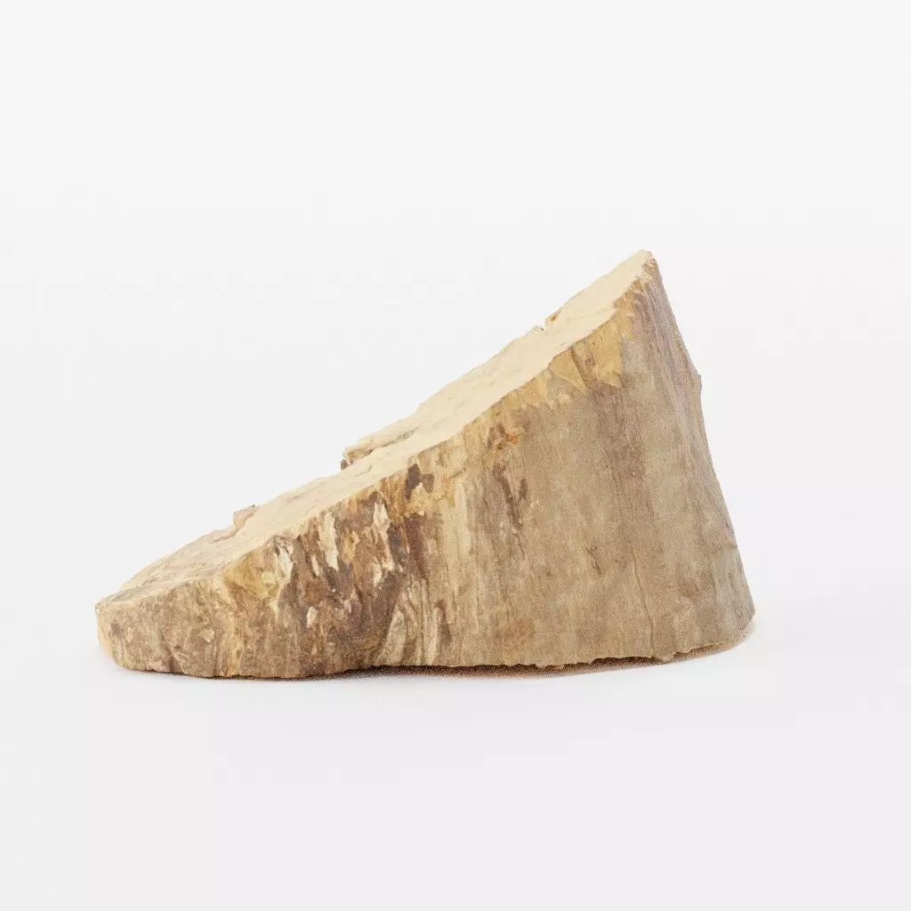 Wood Log 4 3D model_0