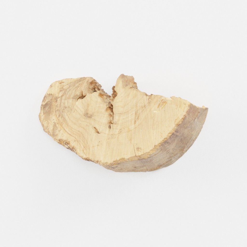 Wood Log 4 3D model_1