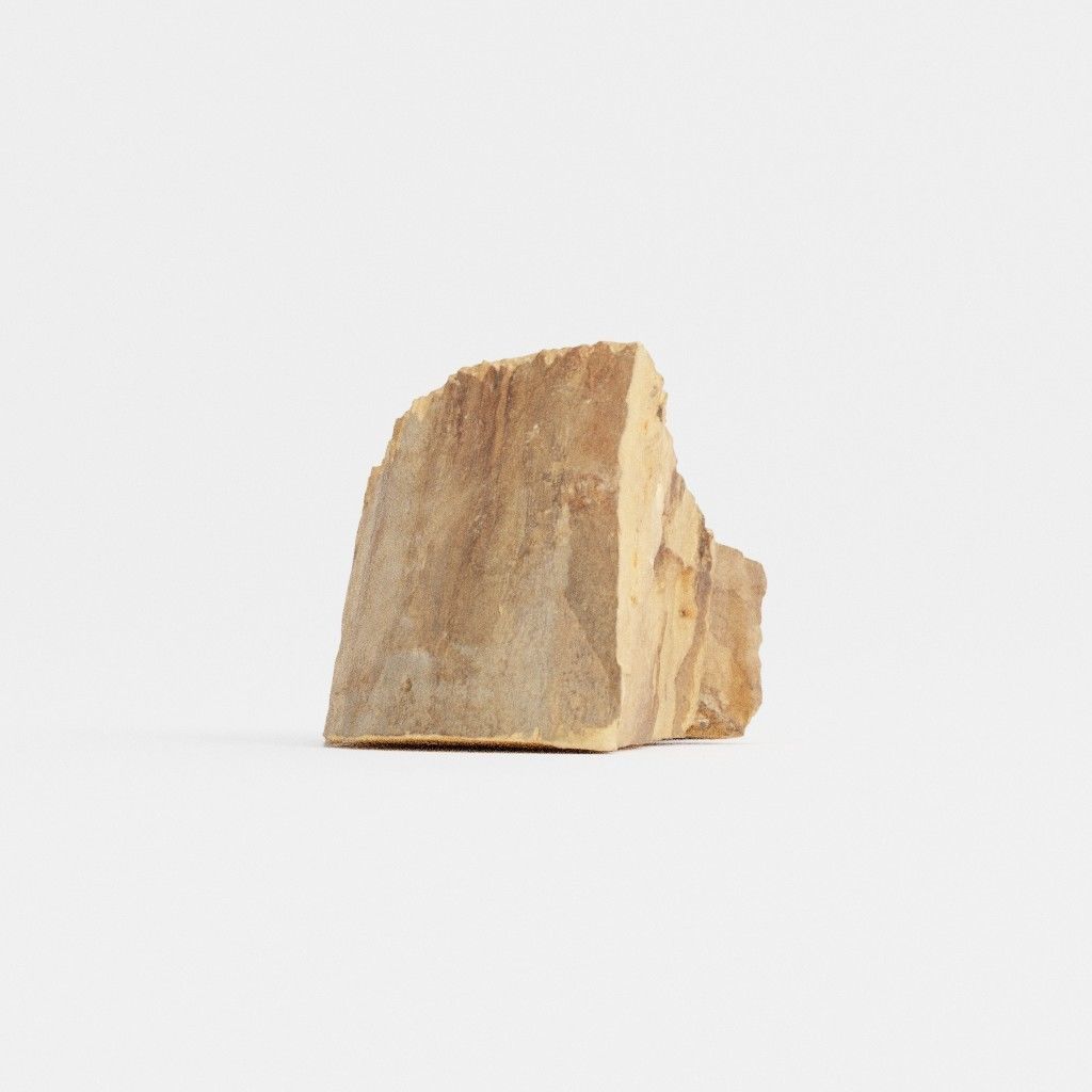 Wood Log 4 3D model_5