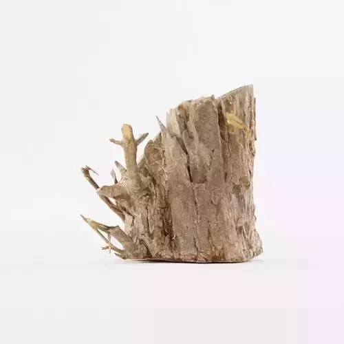 Wood Log 2 3D model