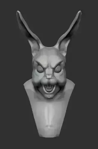 Bunny head