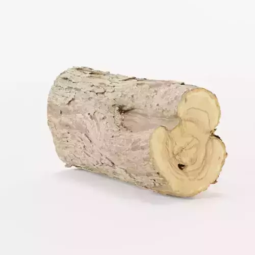Wood Log 1 3D model