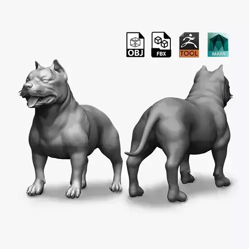 Pitbull Dog 3D model