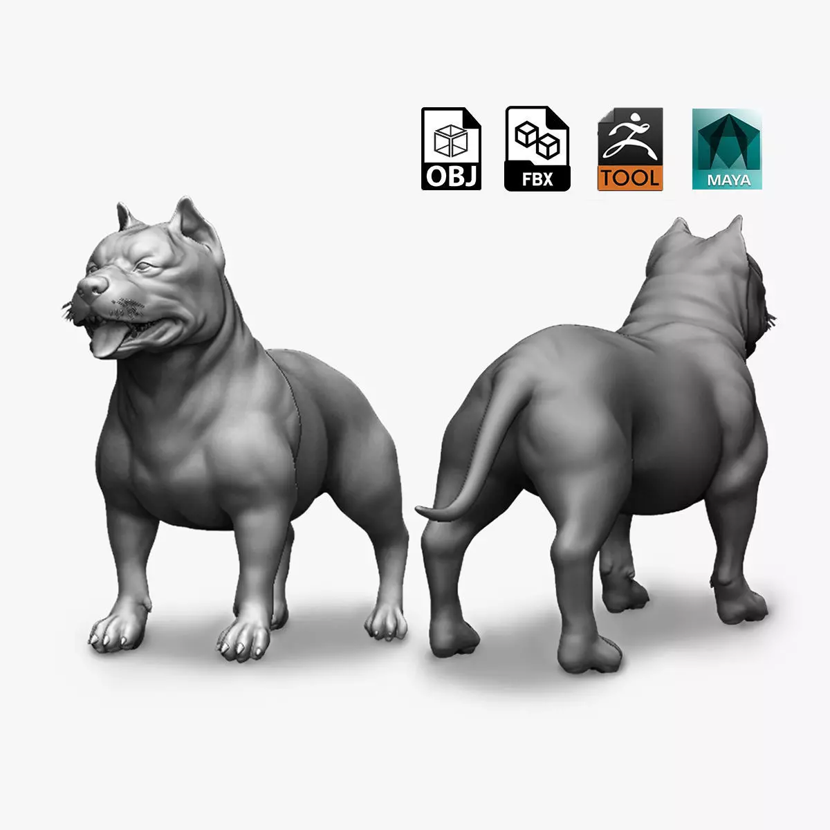 Pitbull Dog 3D model_0