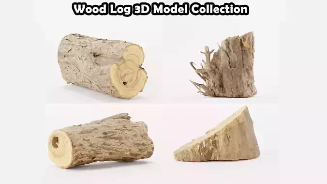 Wood Log 3D Model Collection