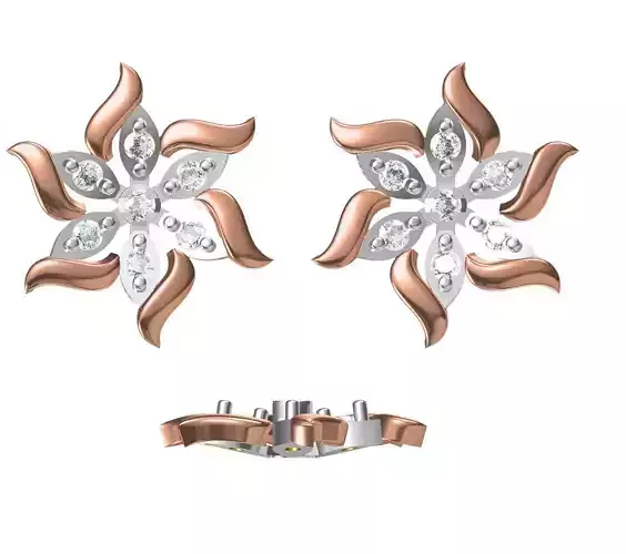 Women Earrings STL JCD Details