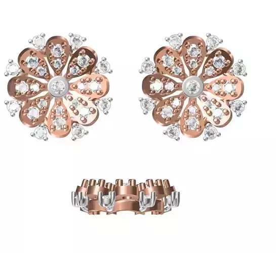 Women Earrings STL JCD Details