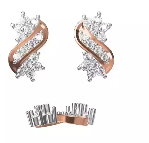 Women Earrings STL JCD Details 3D print model
