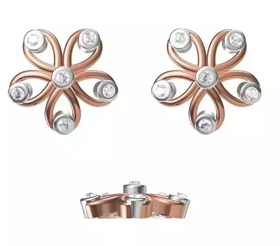 Women Earrings STL JCD Details 3D print model