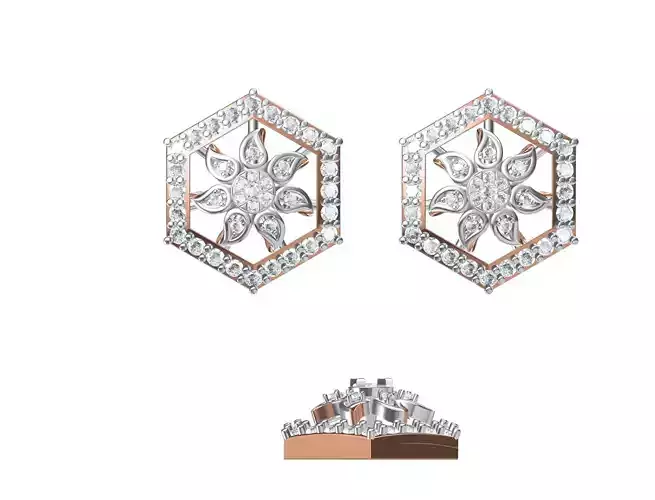 Women Earrings STL JCD Details 3D print model