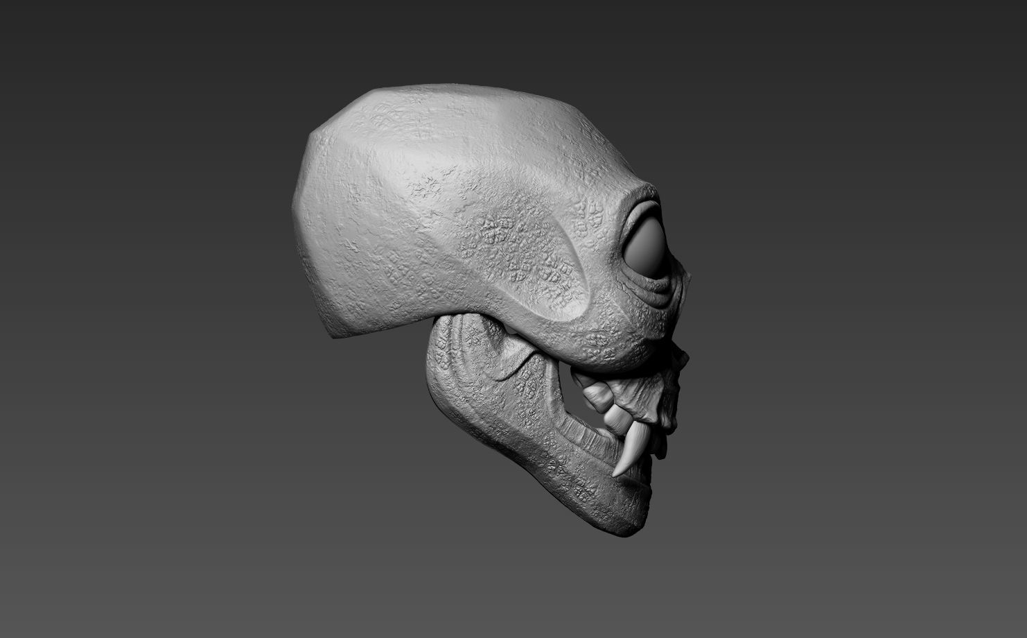 Skull Design Free 3D print model_2