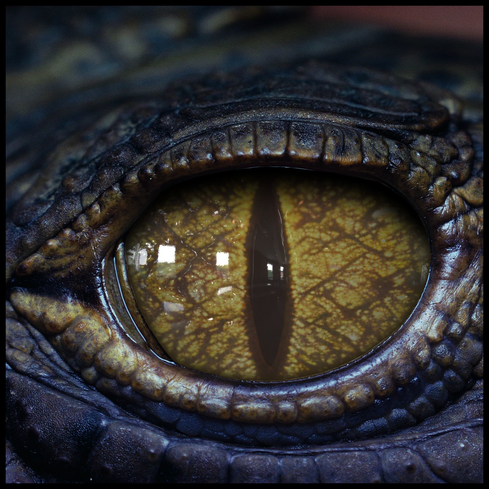 Creature Eyes Vol 08 - PBR Low-poly 3D model_15