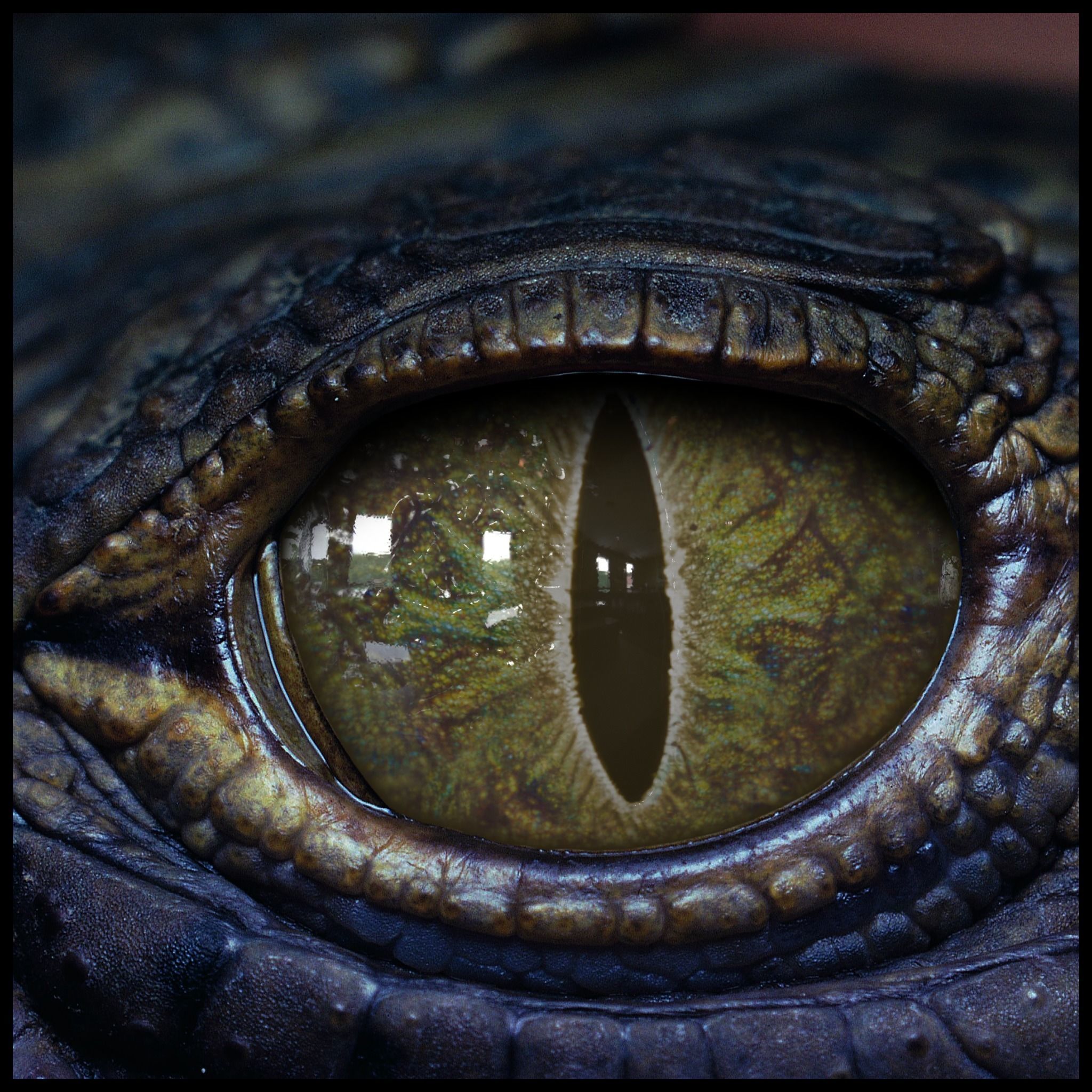 Creature Eyes Vol 08 - PBR Low-poly 3D model_10