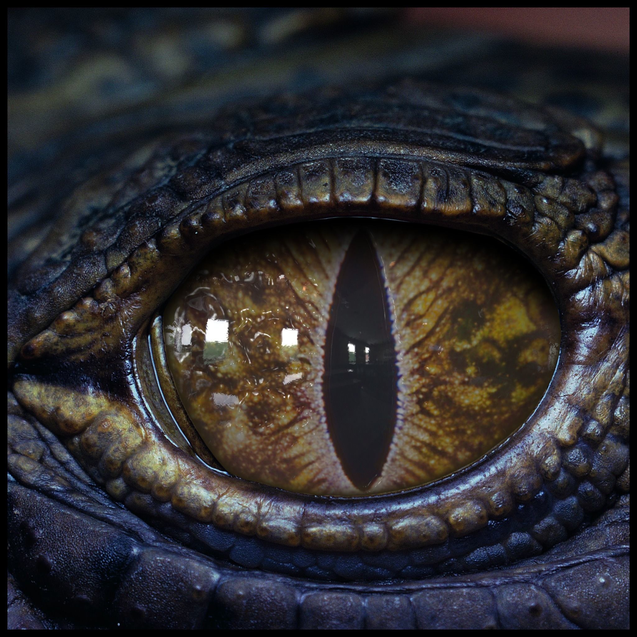 Creature Eyes Vol 08 - PBR Low-poly 3D model_11