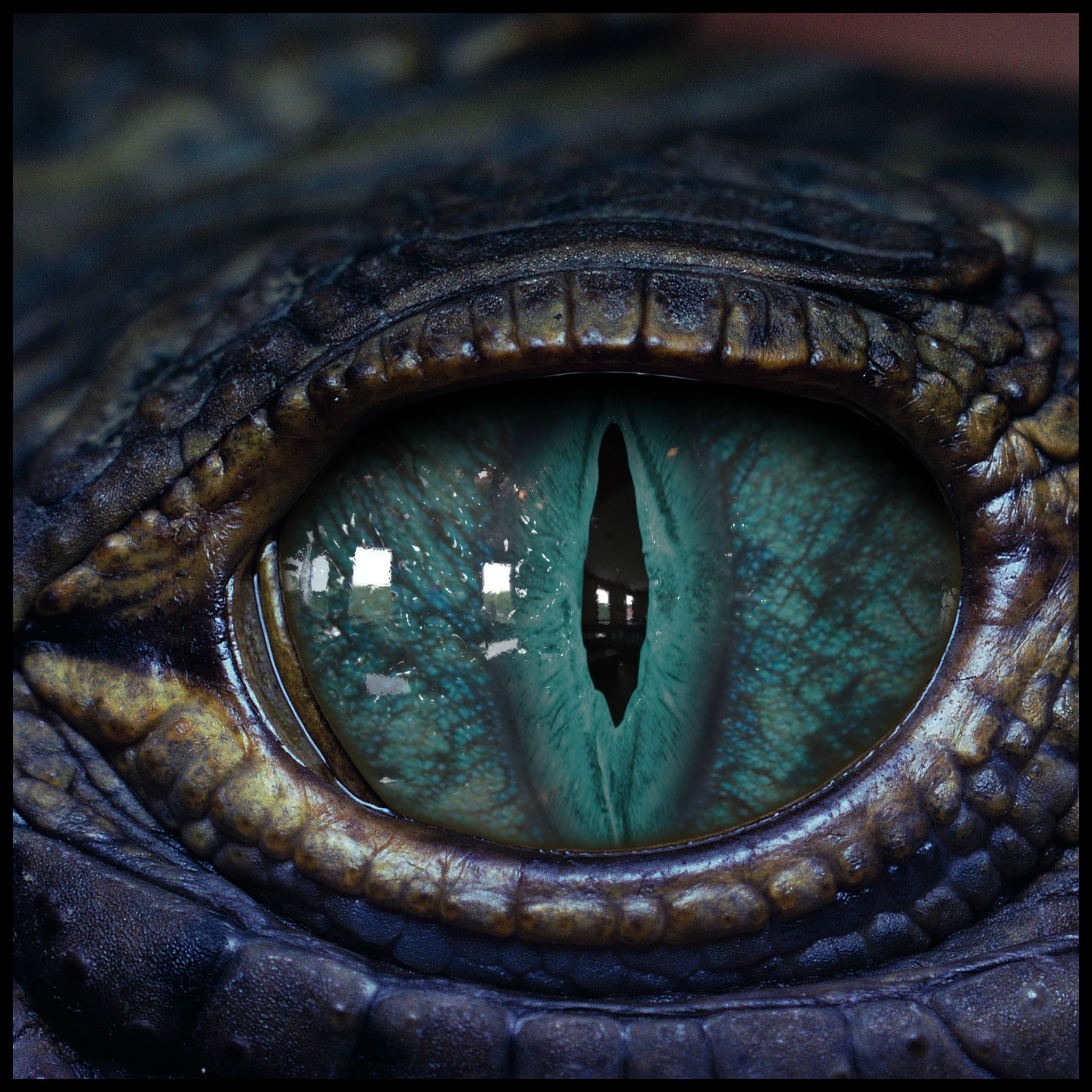 Creature Eyes Vol 08 - PBR Low-poly 3D model_3