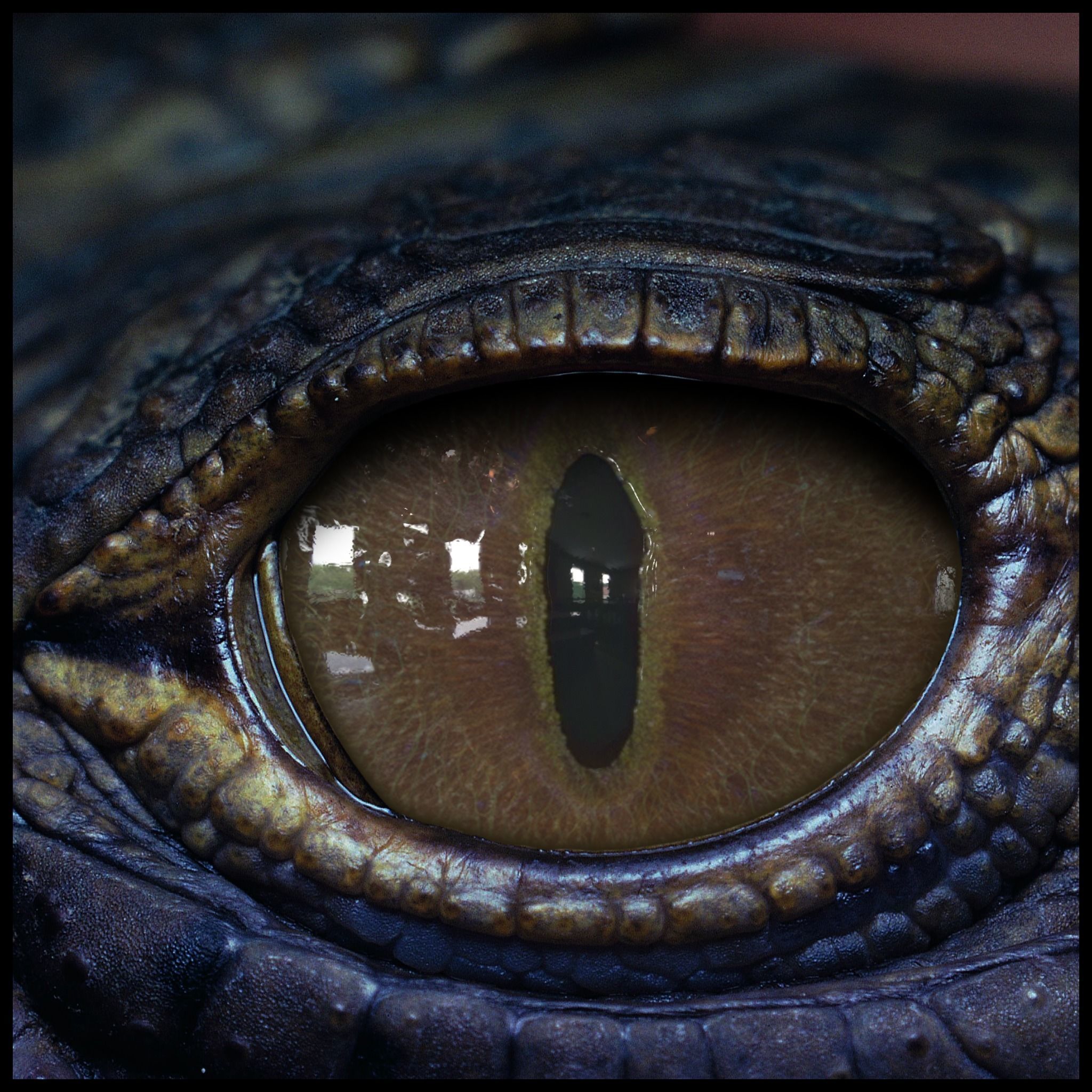 Creature Eyes Vol 08 - PBR Low-poly 3D model_4