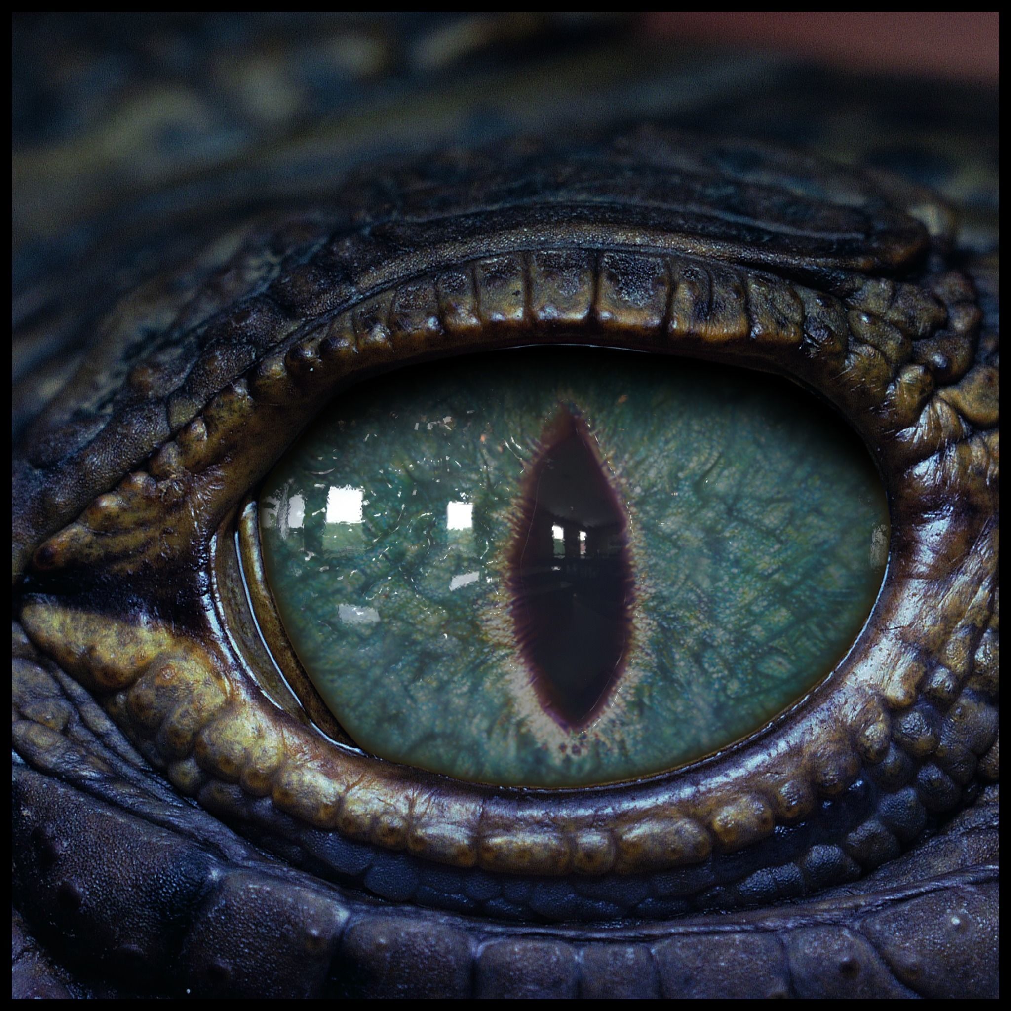 Creature Eyes Vol 08 - PBR Low-poly 3D model_12