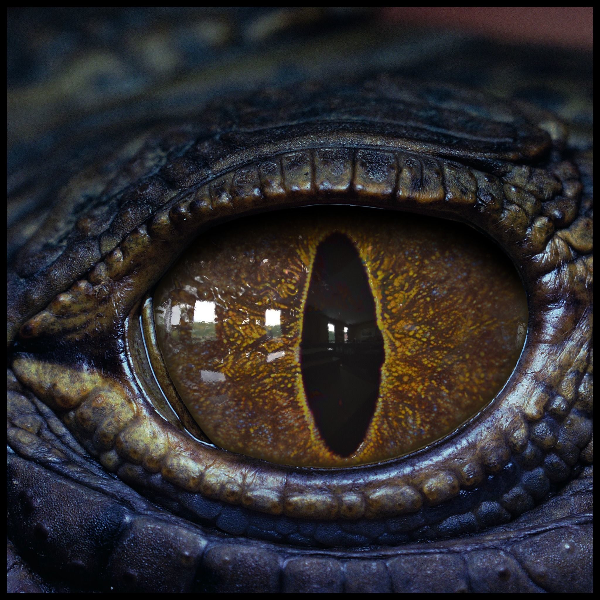Creature Eyes Vol 08 - PBR Low-poly 3D model_14