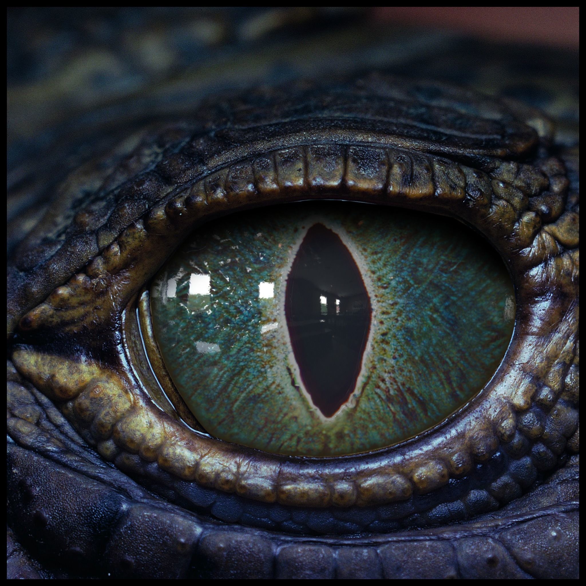 Creature Eyes Vol 08 - PBR Low-poly 3D model_9