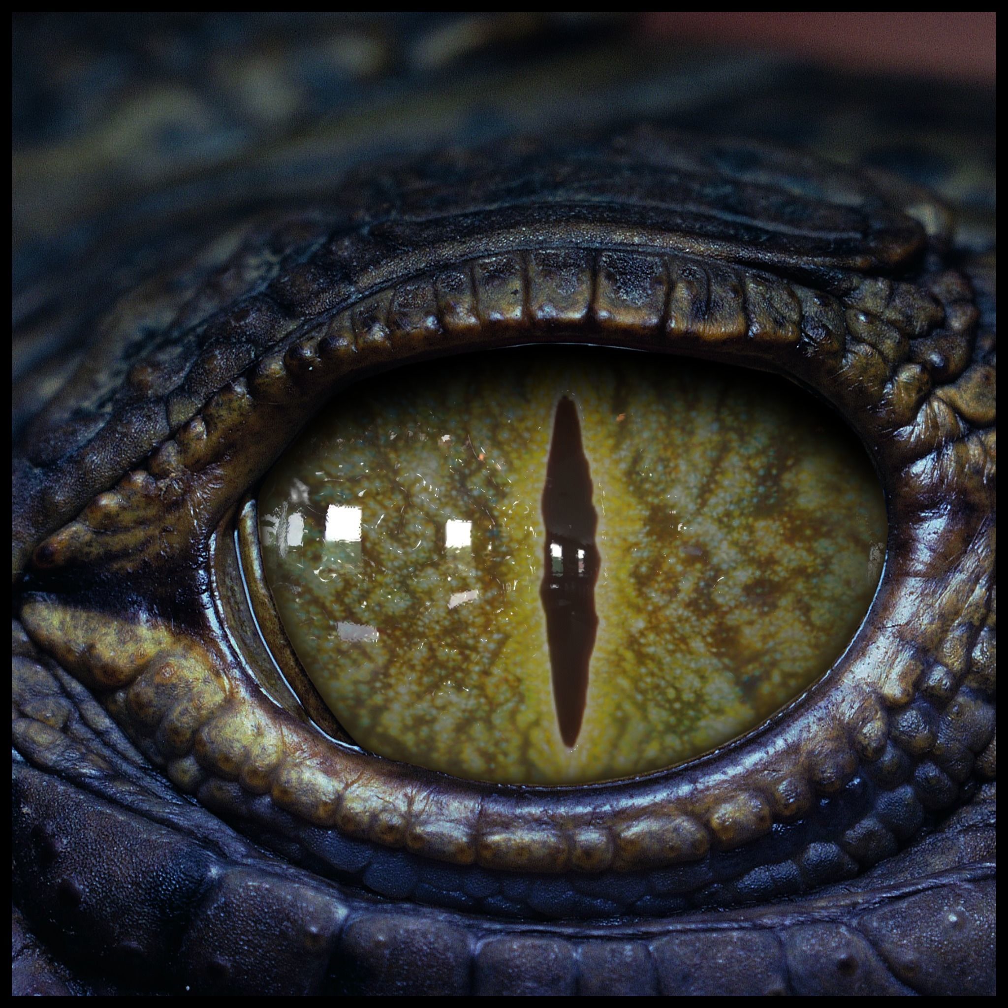 Creature Eyes Vol 08 - PBR Low-poly 3D model_7