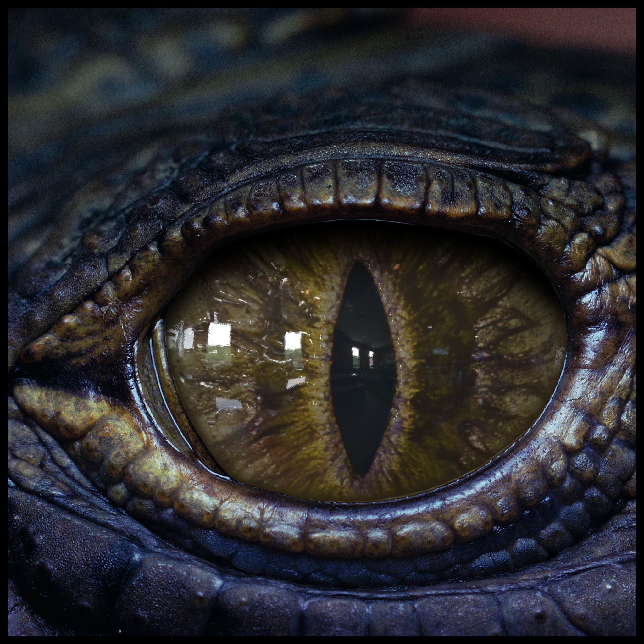 Creature Eyes Vol 08 - PBR Low-poly 3D model_16