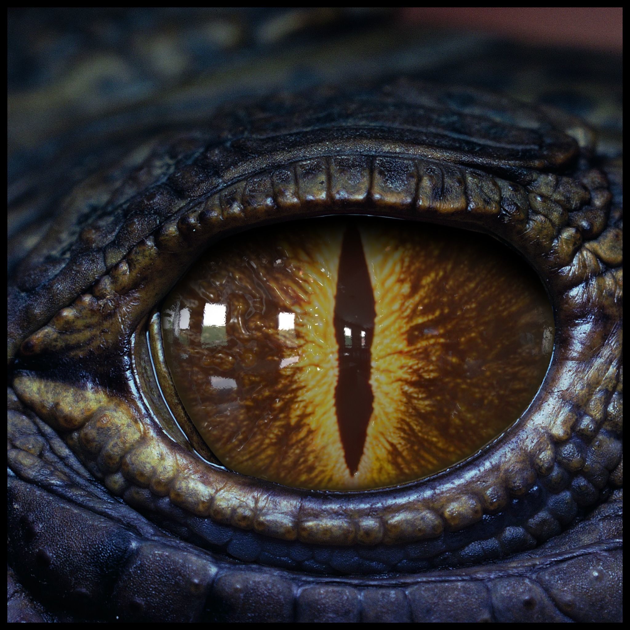 Creature Eyes Vol 08 - PBR Low-poly 3D model_6
