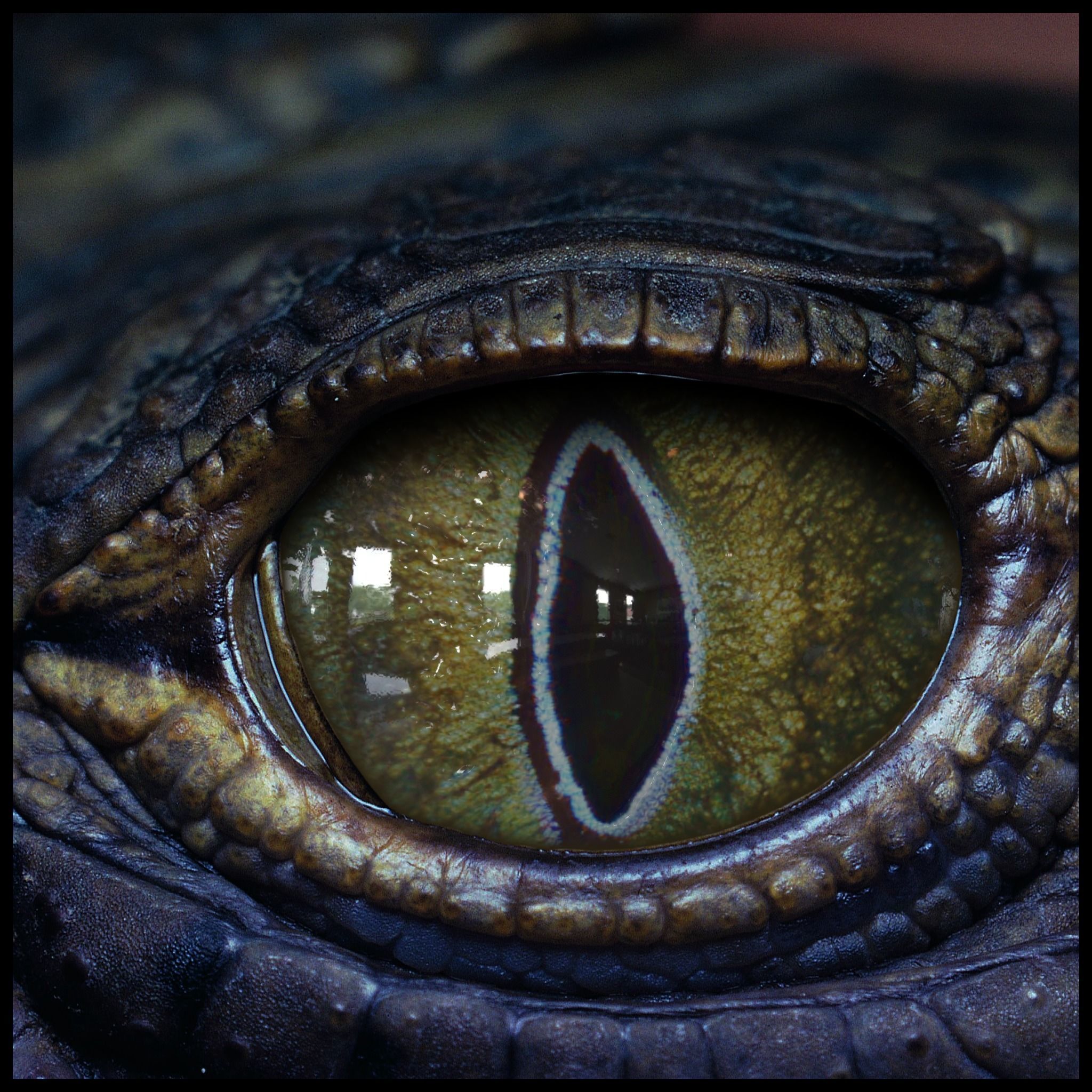 Creature Eyes Vol 08 - PBR Low-poly 3D model_17
