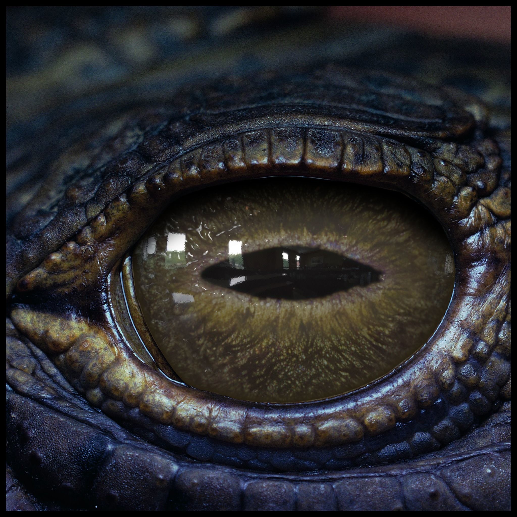 Creature Eyes Vol 08 - PBR Low-poly 3D model_8
