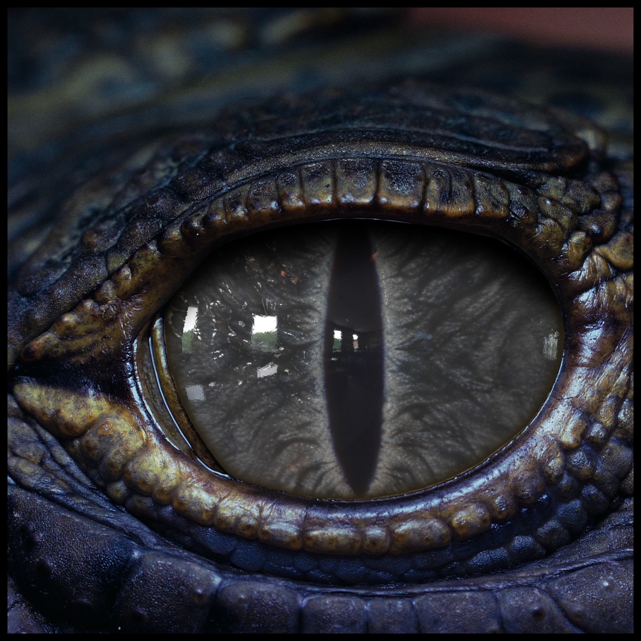 Creature Eyes Vol 09 - PBR Low-poly 3D model_5
