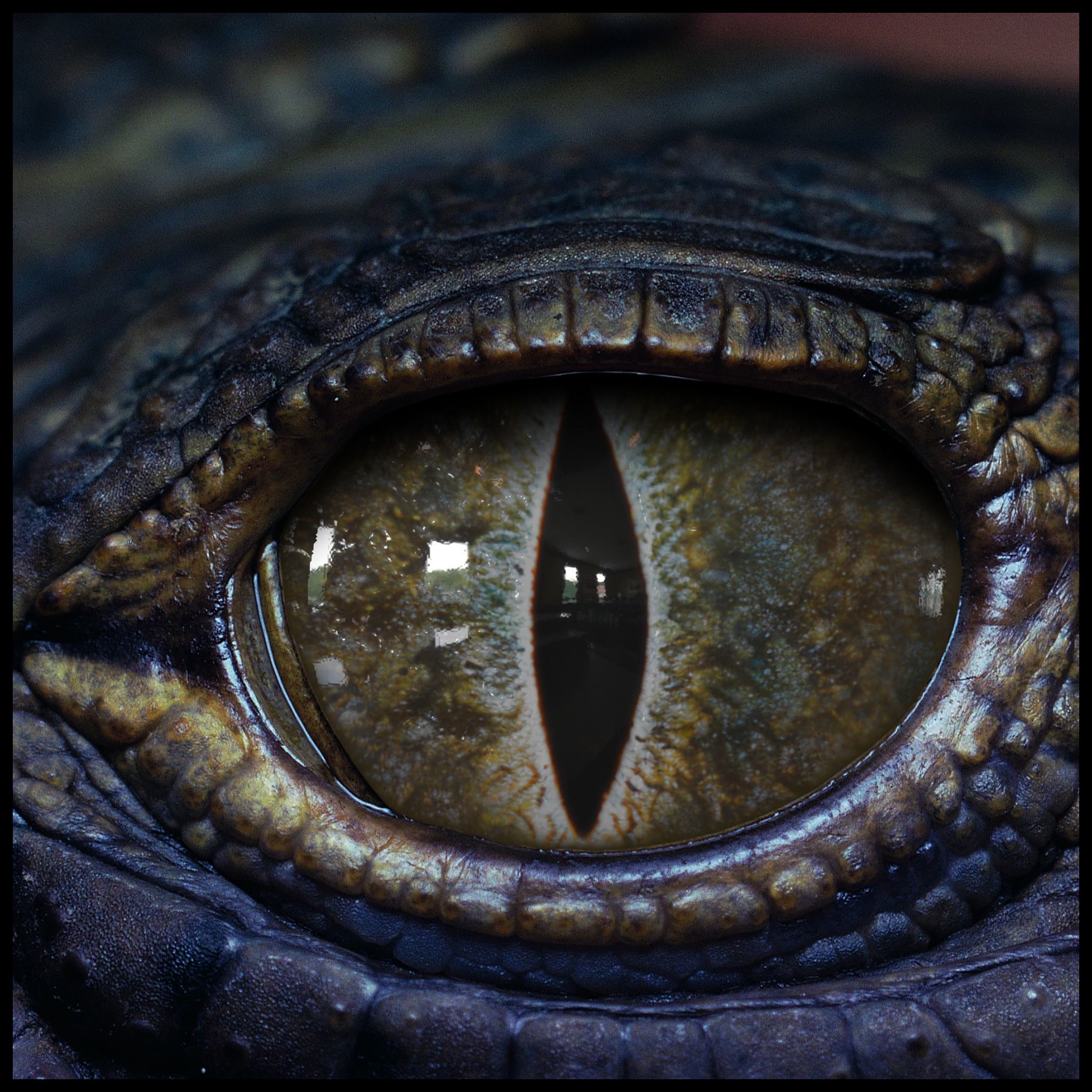 Creature Eyes Vol 09 - PBR Low-poly 3D model_7