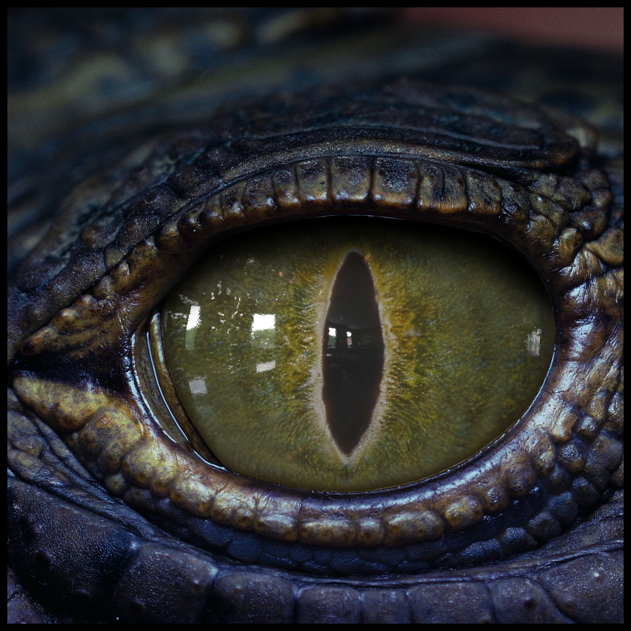 Creature Eyes Vol 09 - PBR Low-poly 3D model_14