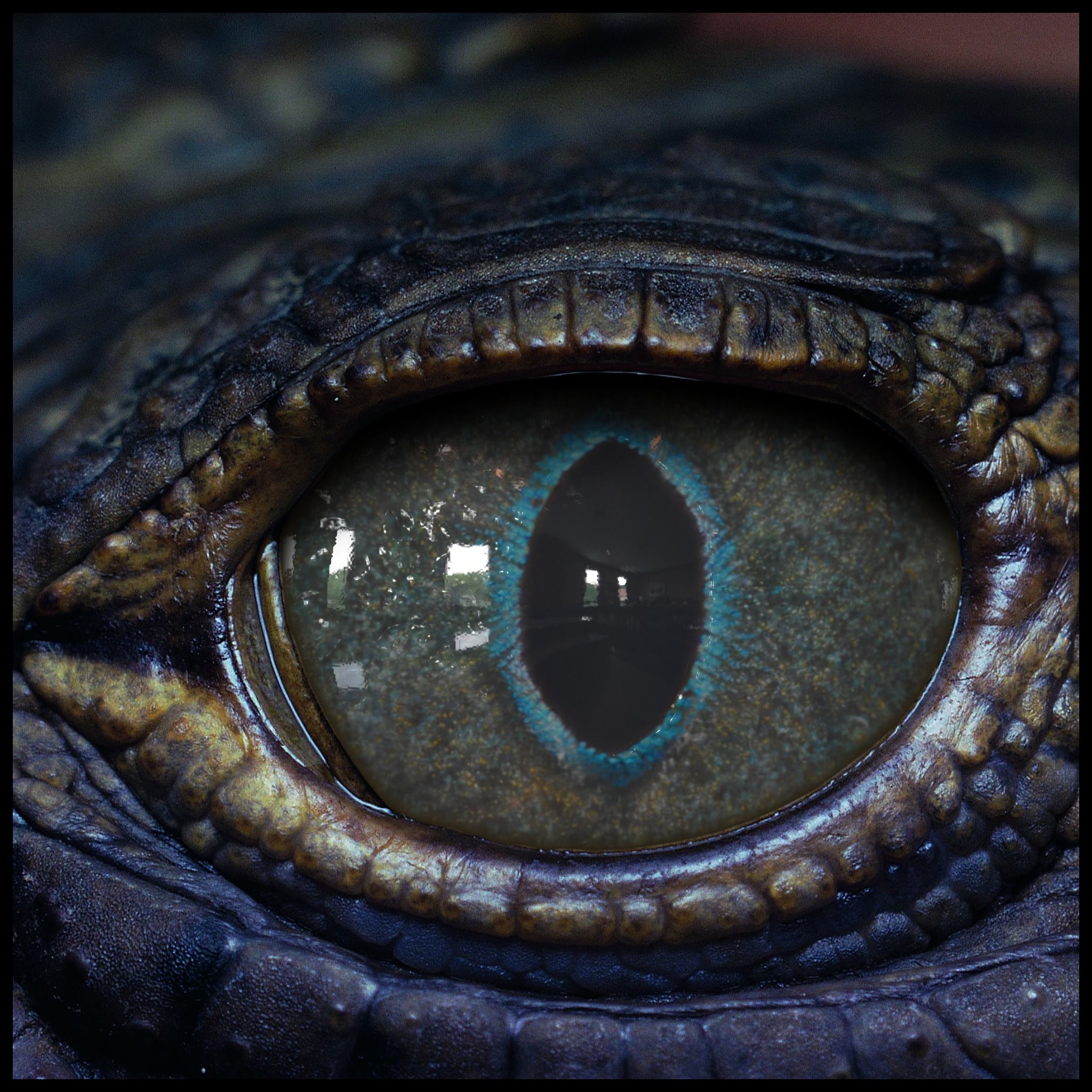 Creature Eyes Vol 09 - PBR Low-poly 3D model_9