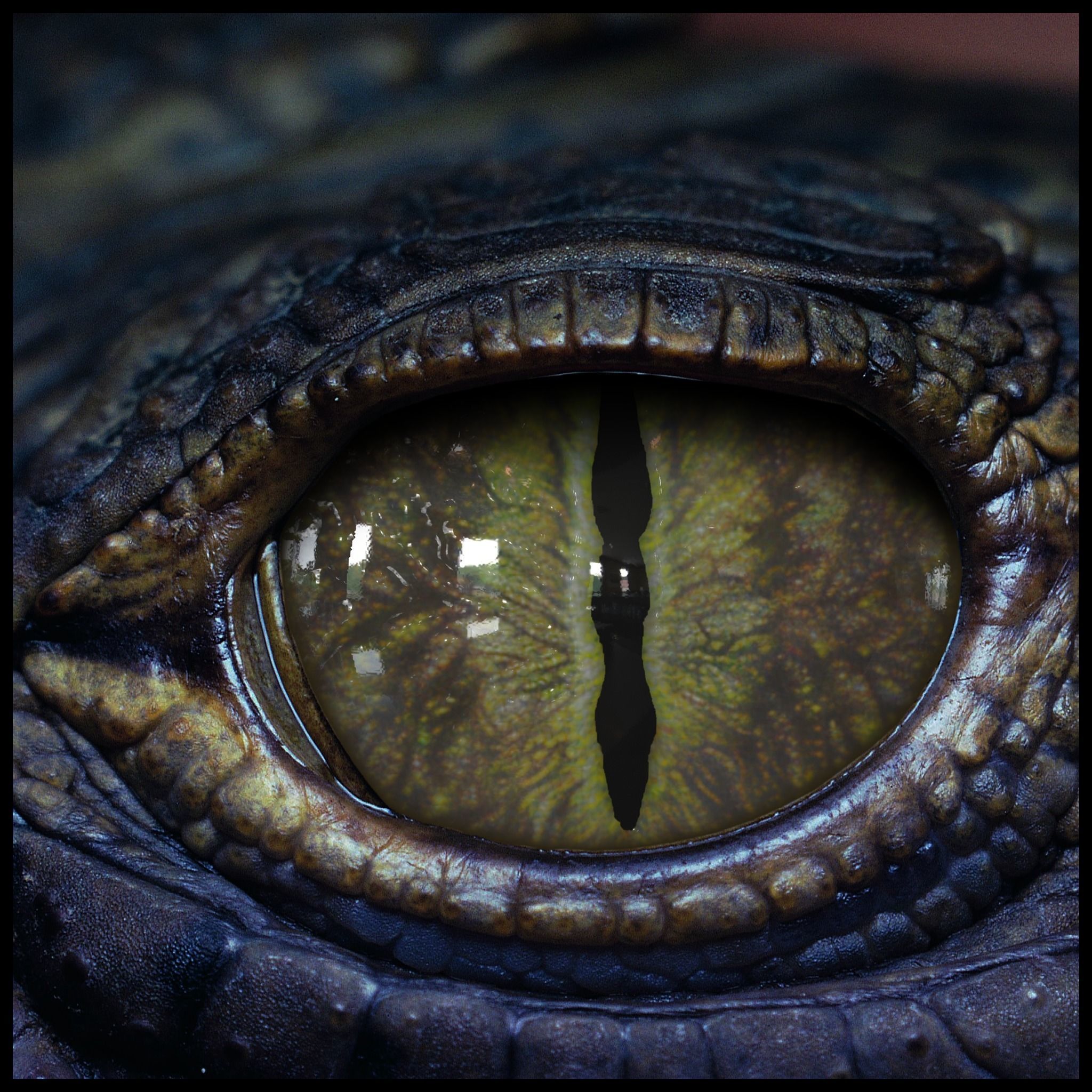 Creature Eyes Vol 09 - PBR Low-poly 3D model_15