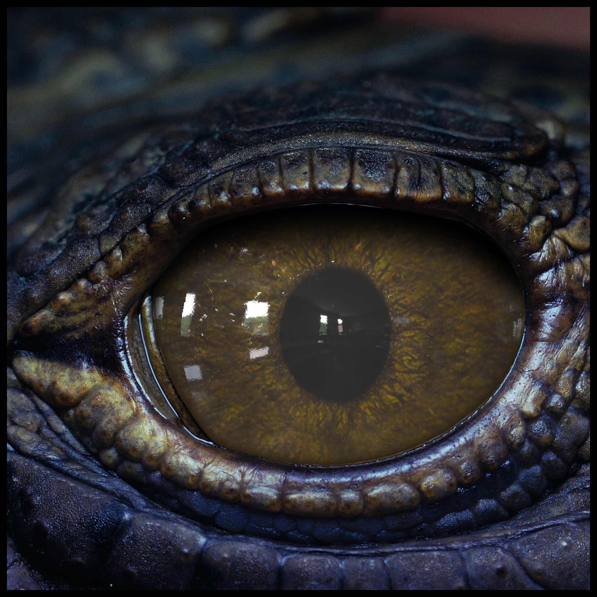 Creature Eyes Vol 09 - PBR Low-poly 3D model_10