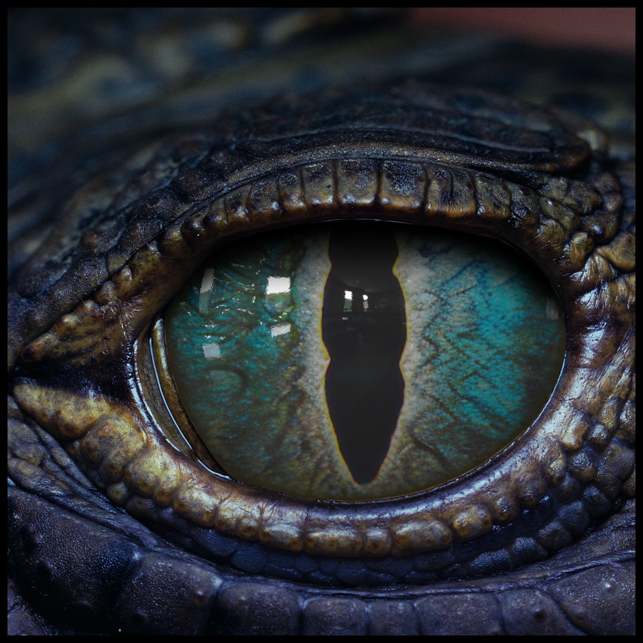Creature Eyes Vol 09 - PBR Low-poly 3D model_13