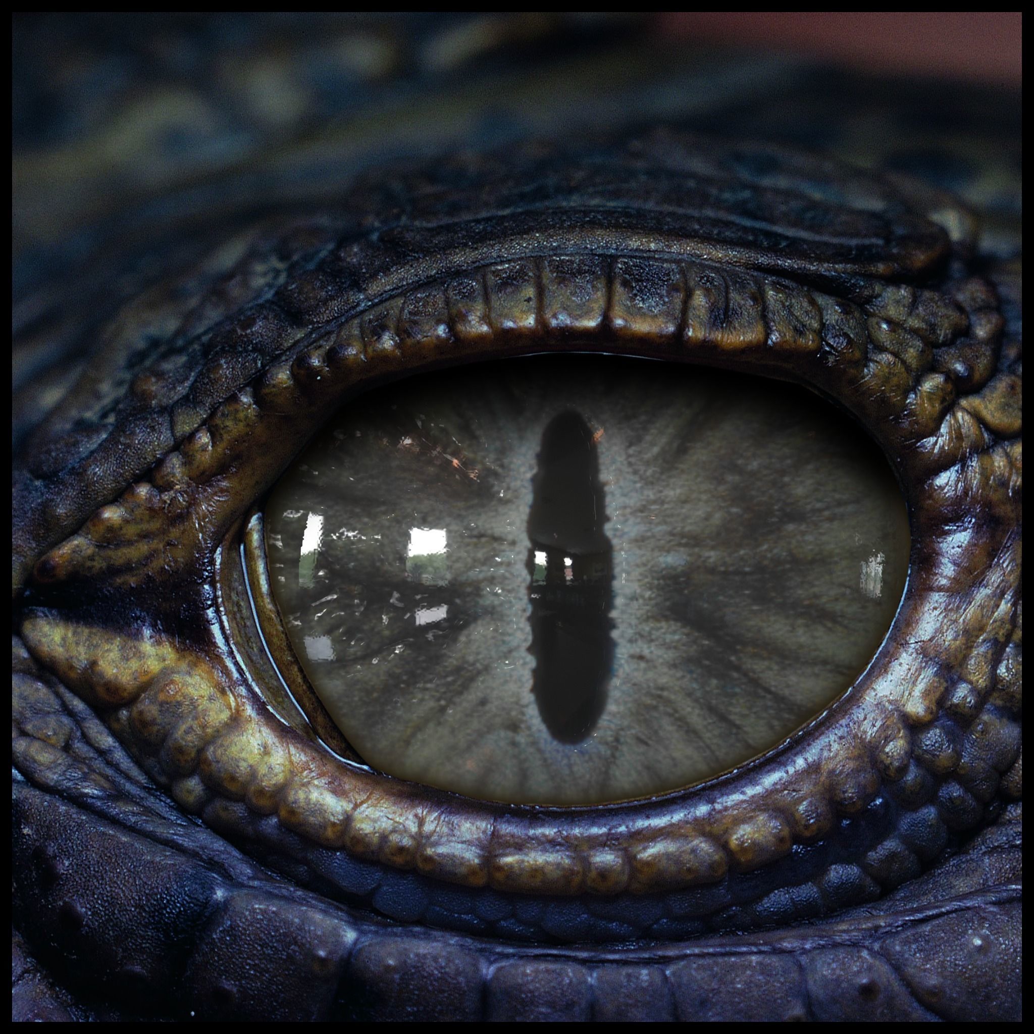 Creature Eyes Vol 09 - PBR Low-poly 3D model_12