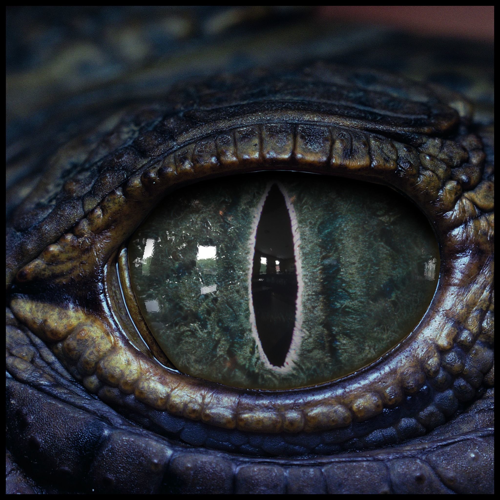 Creature Eyes Vol 09 - PBR Low-poly 3D model_3