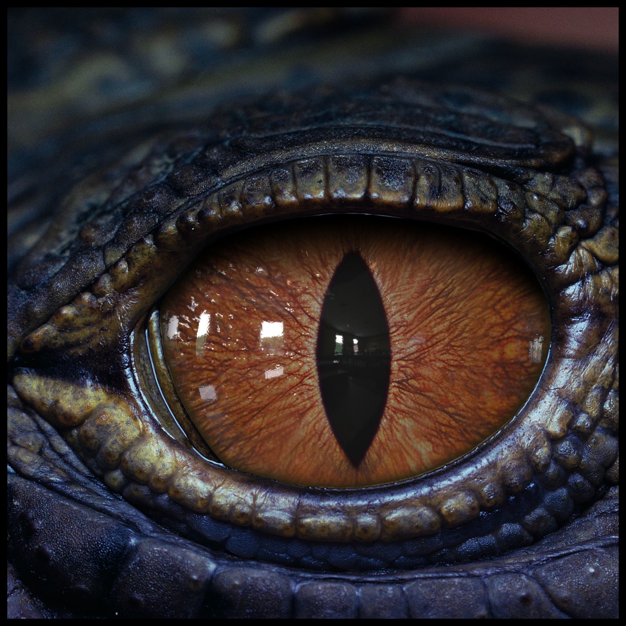 Creature Eyes Vol 09 - PBR Low-poly 3D model_16