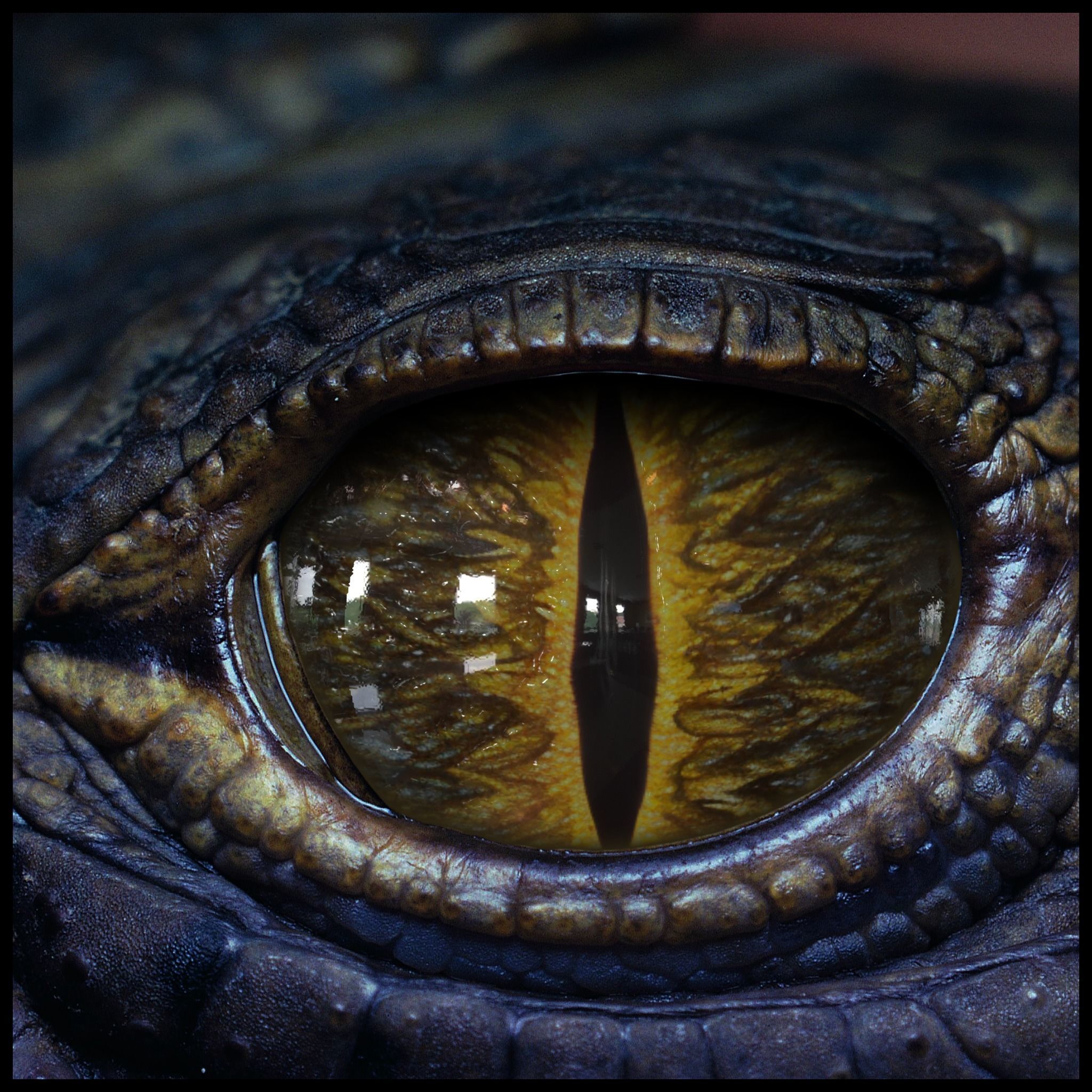 Creature Eyes Vol 09 - PBR Low-poly 3D model_2
