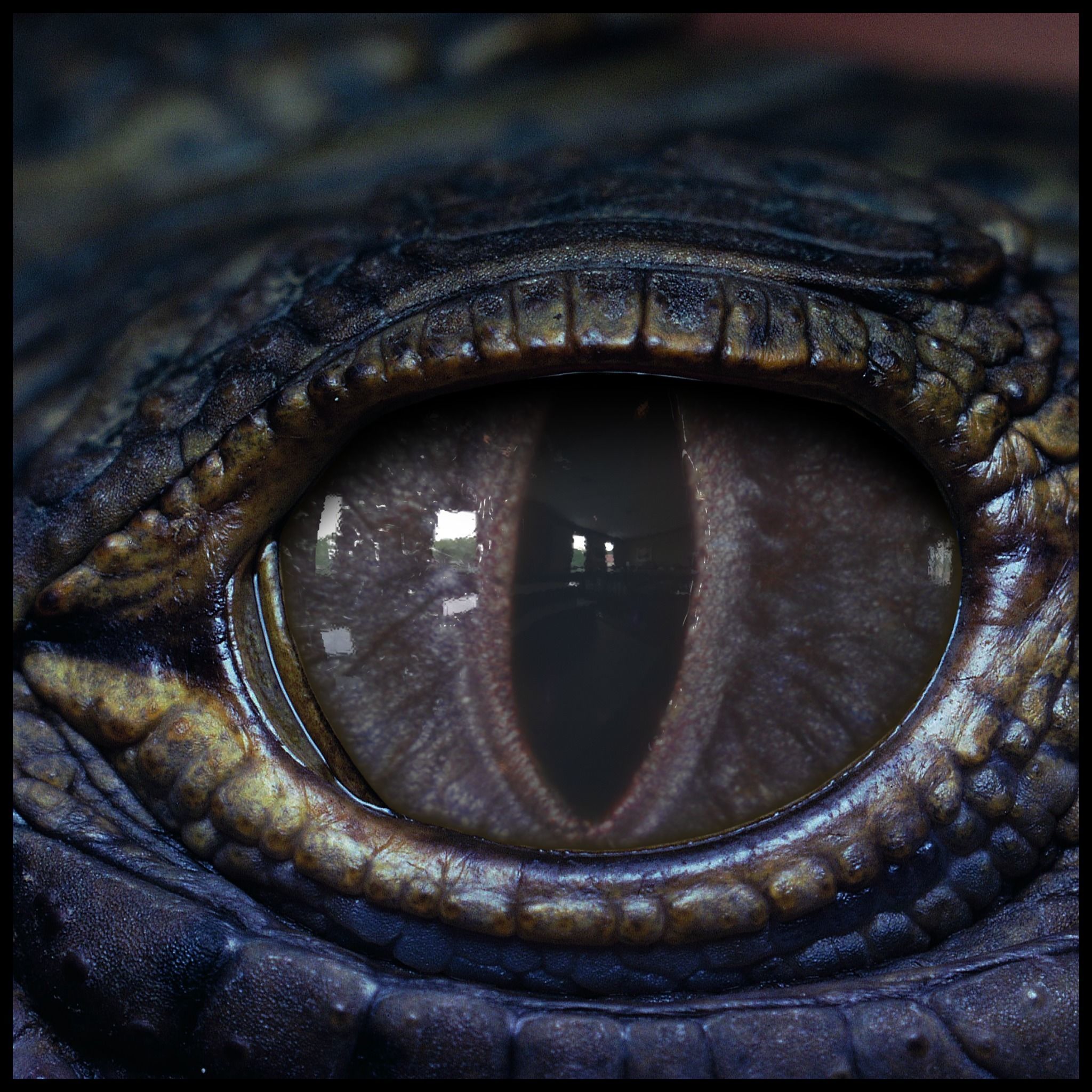 Creature Eyes Vol 09 - PBR Low-poly 3D model_6