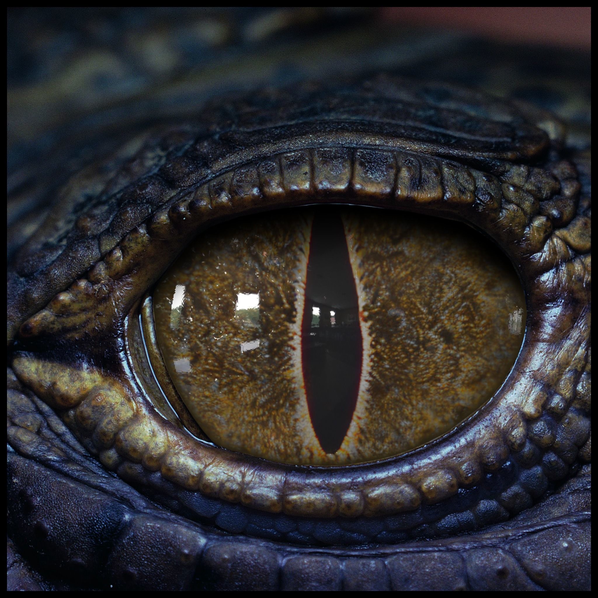 Creature Eyes Vol 09 - PBR Low-poly 3D model_4
