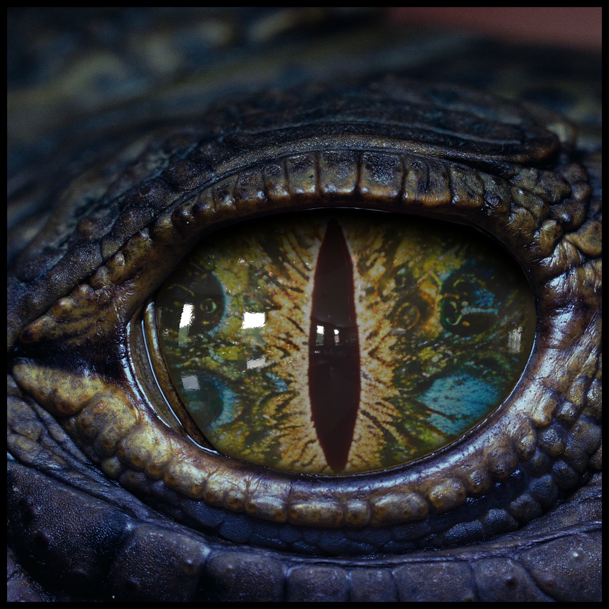 Creature Eyes Vol 09 - PBR Low-poly 3D model_11